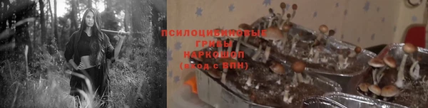 MDMA Горнозаводск