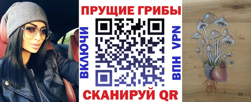 Псилоцибиновые грибы мицелий  Купить закладки  Солнечногорск 